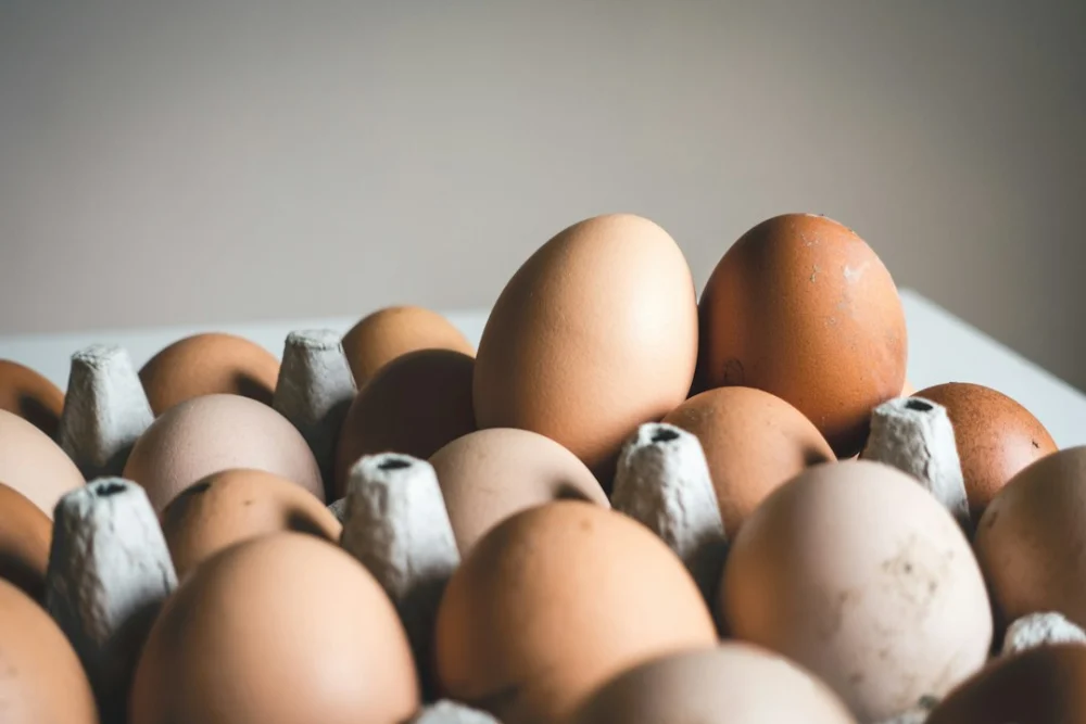 Comer 10 ovos por semana faz mal ao coração? A ciência revela o que realmente importa