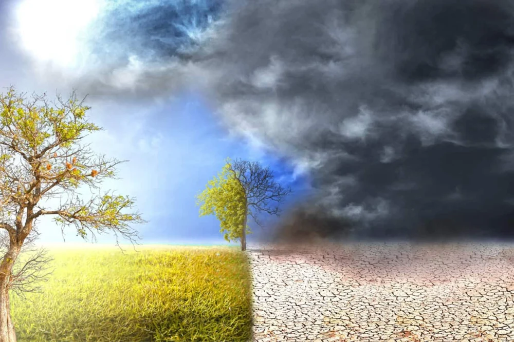 Como o El Niño pode afetar a agricultura brasileira