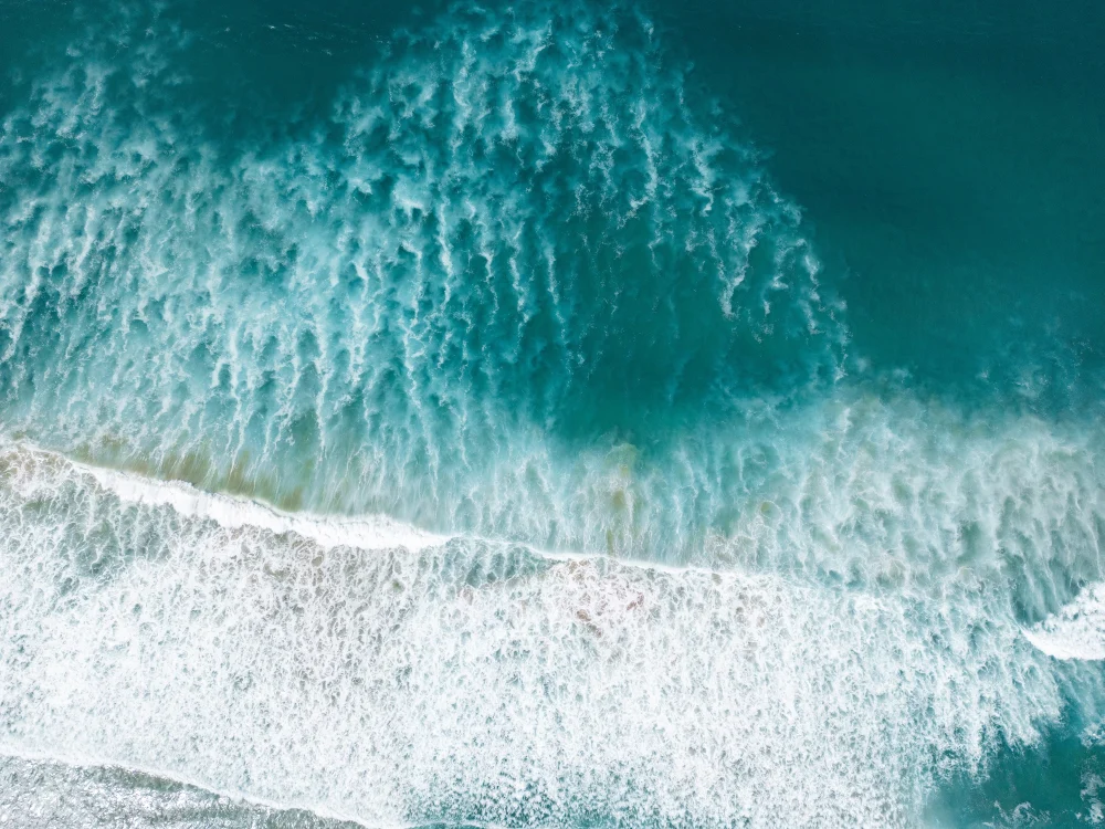 El Niño muda a cor do oceano e ameaça vida marinha