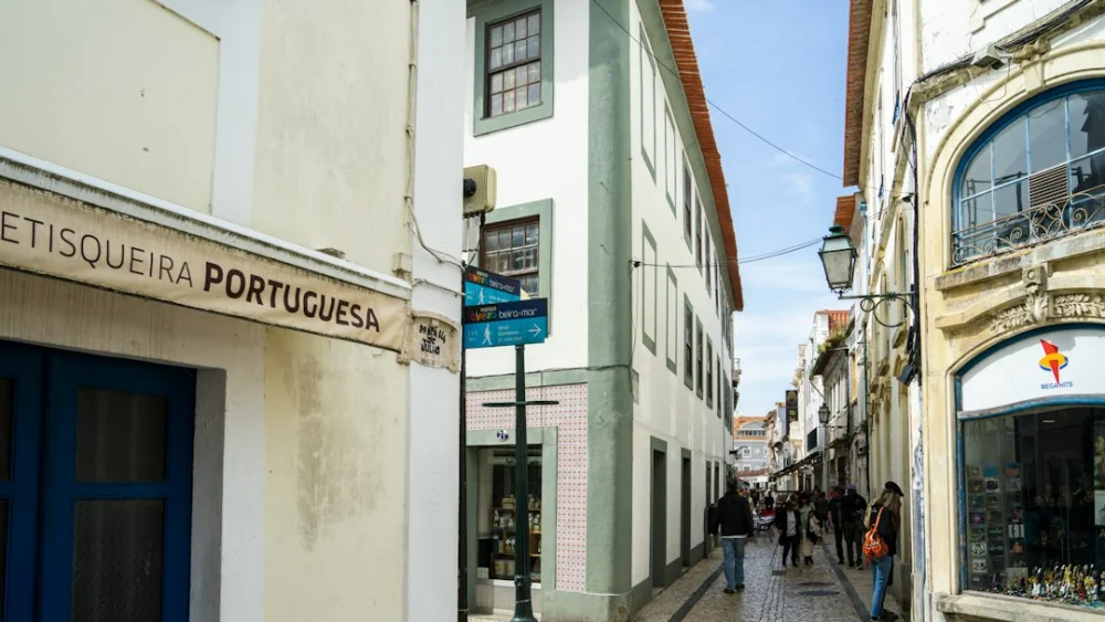 Ele procurava um lugar para acampar no Google Maps e encontrou algo escondido há 390 milhões de anos