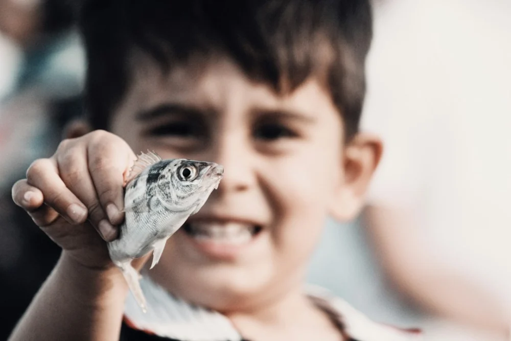 Este pequeno peixe só foi encontrado em três poças da Amazônia — seu habitat já está sob pressão
