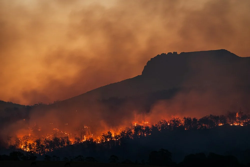 Estudo revela como incêndios e secas estão transformando o papel da Amazônia no aquecimento global