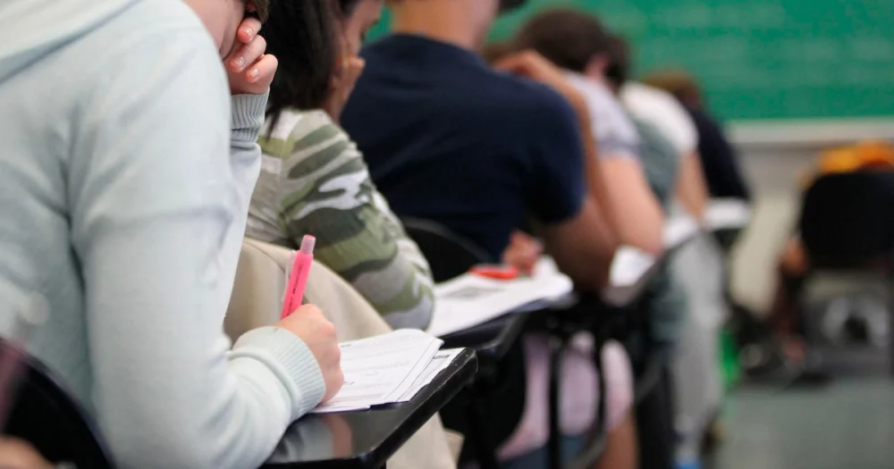 IA Luzia ganha função grátis que ajuda estudantes na preparação para o ENEM