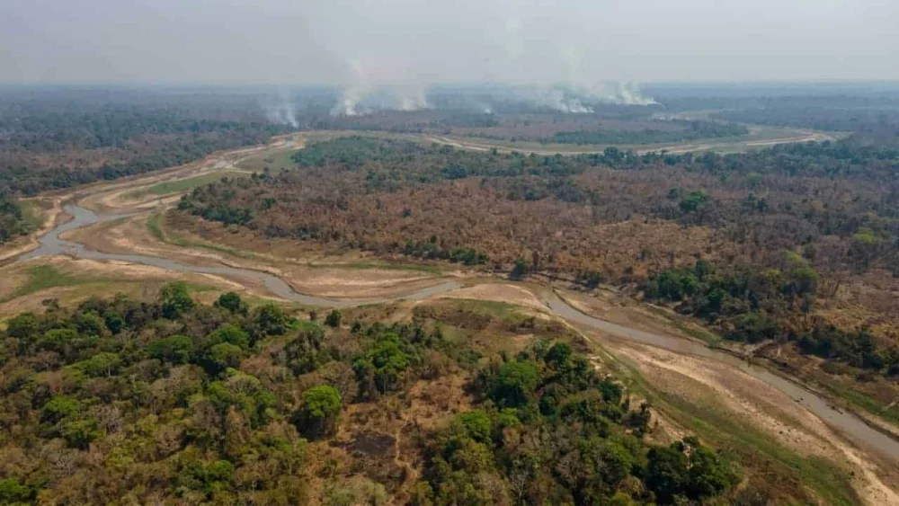 Incêndios na Amazônia reduzem a absorção de carbono pela floresta