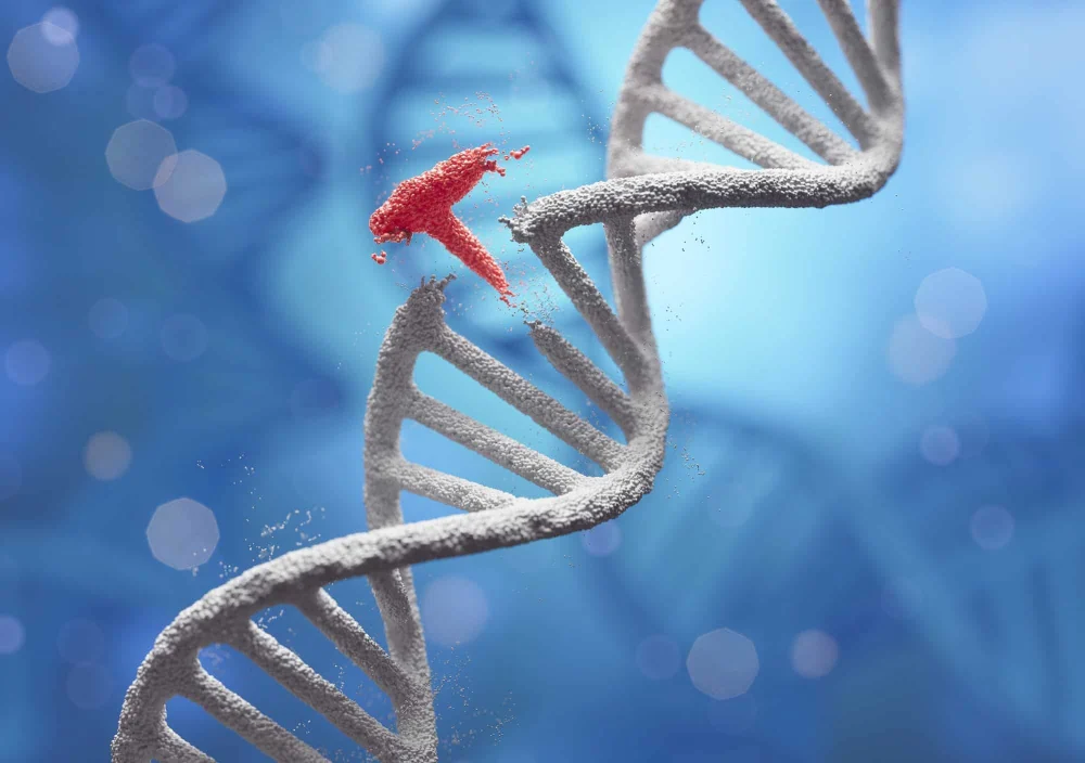Microrganismo com genoma minúsculo desafia definição do que é estar vivo