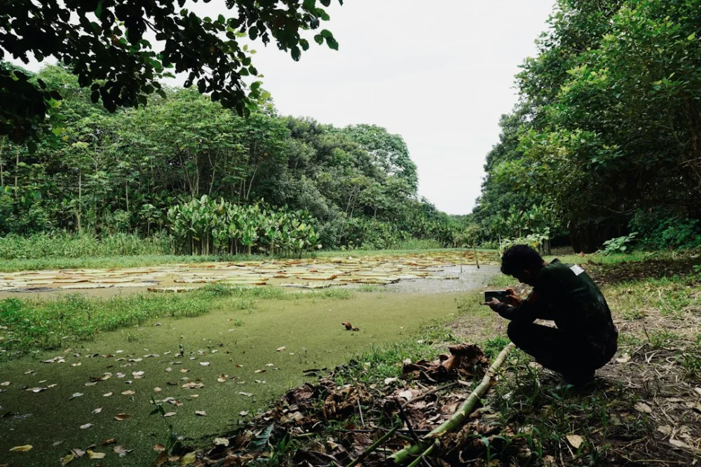 Milhões de pessoas registraram a natureza sem saber que estavam ajudando a revelar um segredo científico