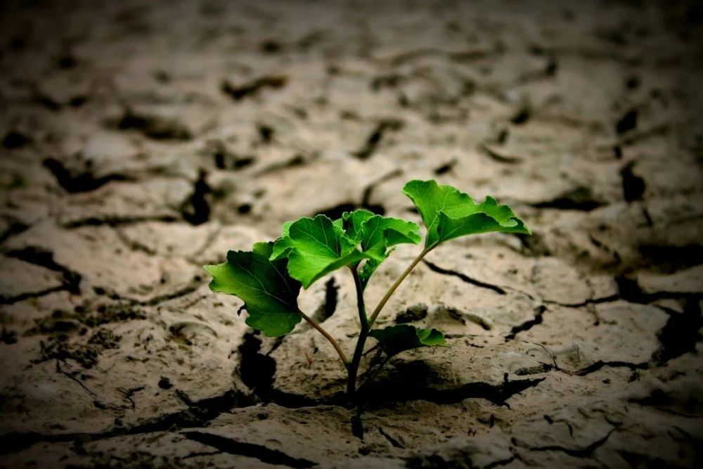 O núcleo da Terra pode estar liberando hidrogênio há bilhões de anos