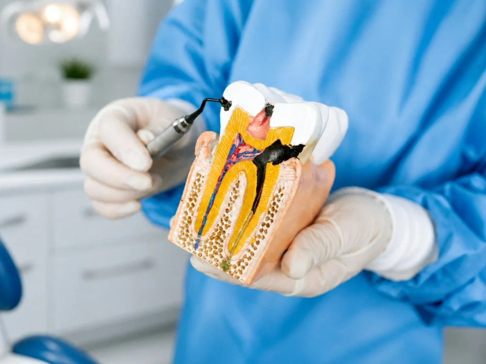 O que a ciência descobriu dentro dos dentes de leite pode abrir um novo caminho contra doenças raras