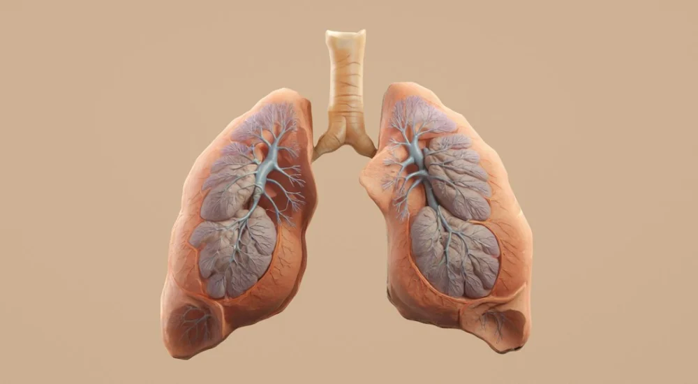 O que é o adenocarcinoma pulmonar e por que ele pode crescer sem apresentar sintomas