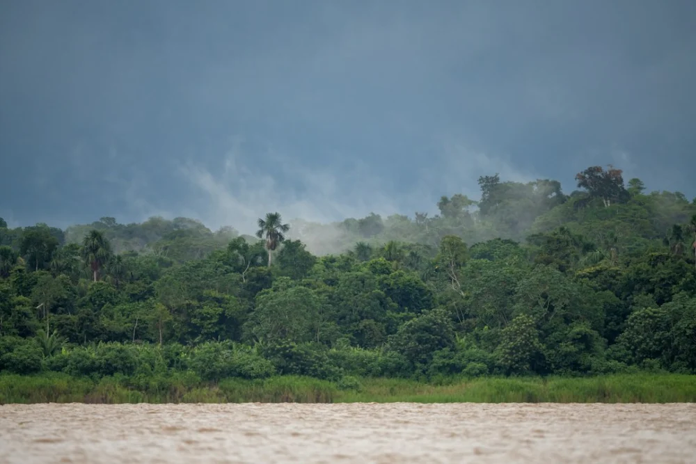 O super El Niño ainda não atingiu o pico, mas a Amazônia já enfrenta uma onda de incêndios