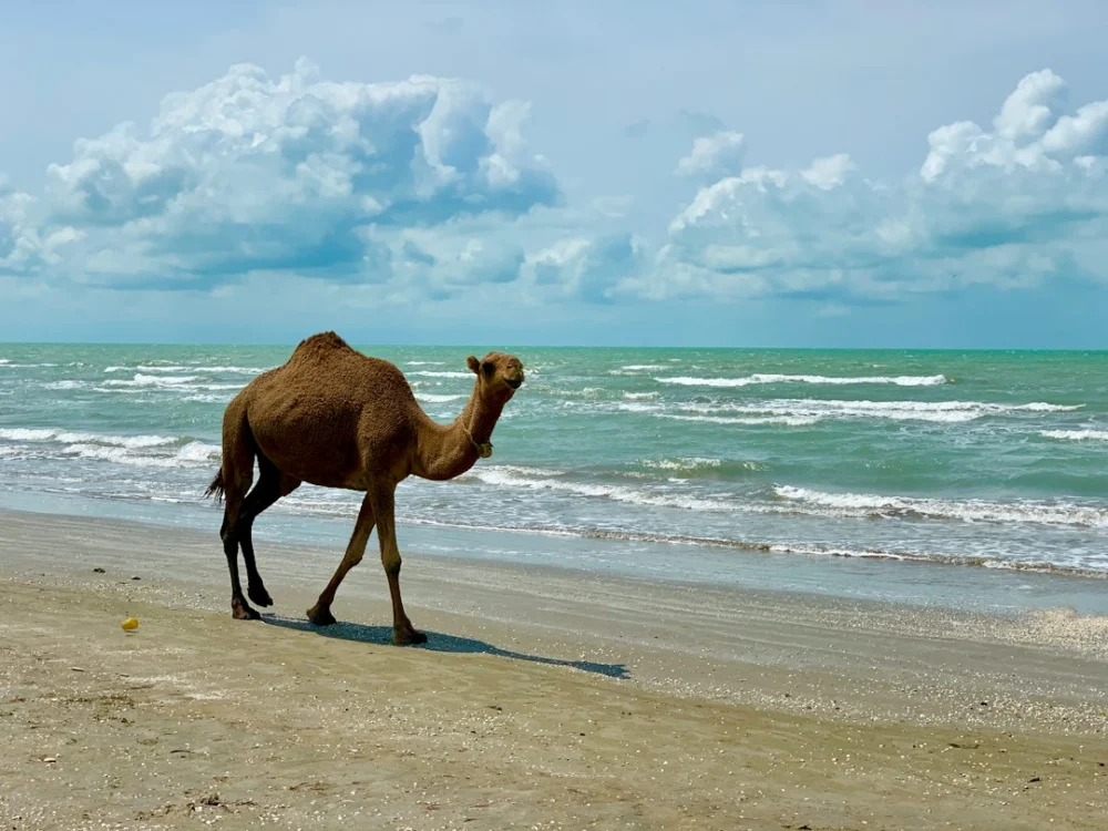 Onde antes havia água, agora existe terra — o fenômeno que está redesenhando o maior mar fechado do planeta