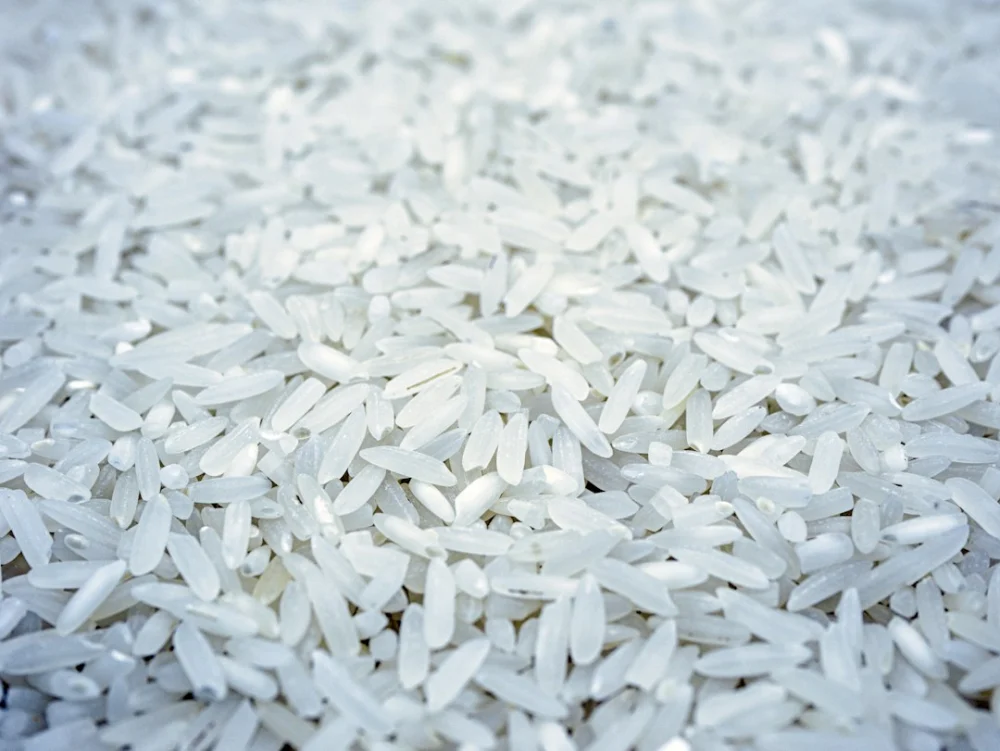 Por que o arroz branco costuma ser tão fácil de digerir?