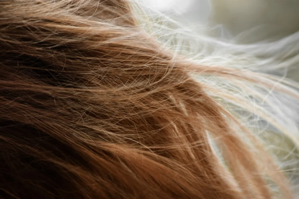 Quantos fios de cabelo é normal perder? A resposta não cabe na famosa regra dos 100