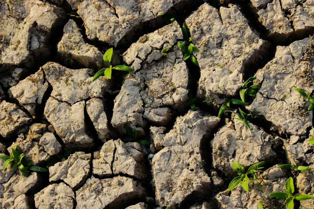 Terra apresenta sinais de deterioração climática, e El Niño pode agravar o cenário