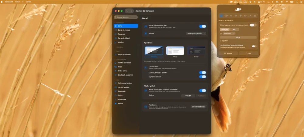 Vorssaint: um canivete suíço que leva várias funções extras ao macOS