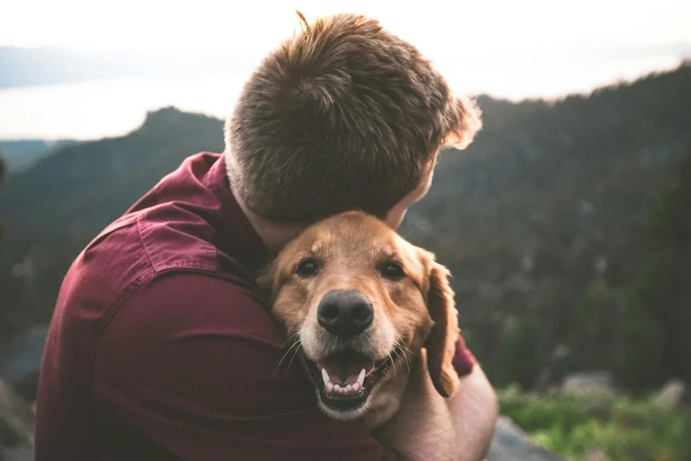 A pessoa favorita do cachorro nem sempre é quem dá mais petiscos: a confiança pesa nessa relação
