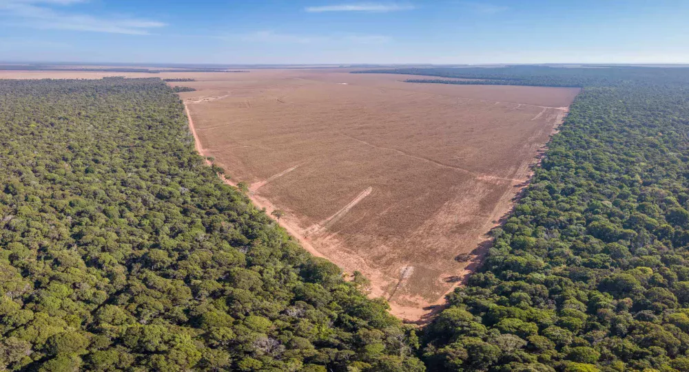Amazônia bate recorde histórico com menor taxa de desmatamento já registrada