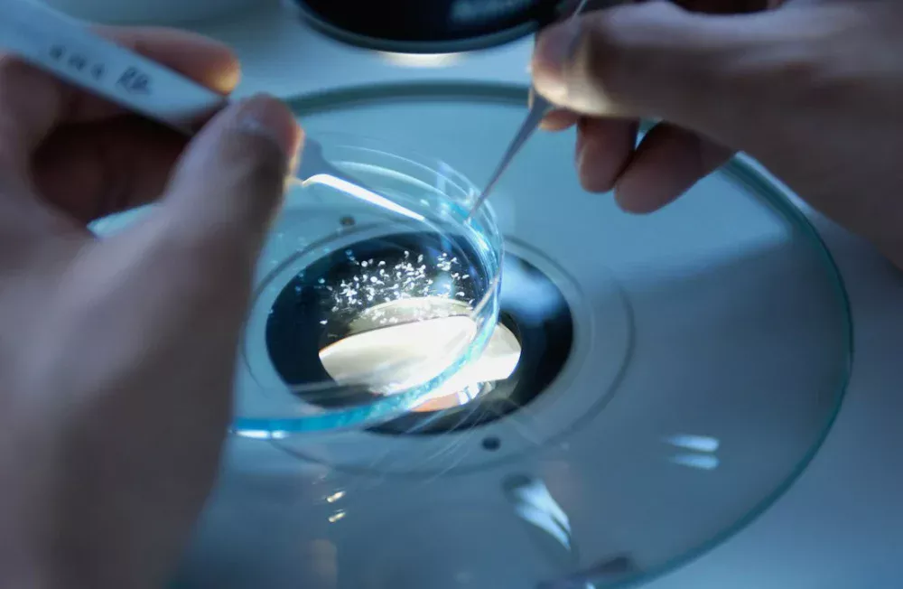 Ciência permite selecionar embriões sem doenças hereditárias e transforma o futuro da maternidade