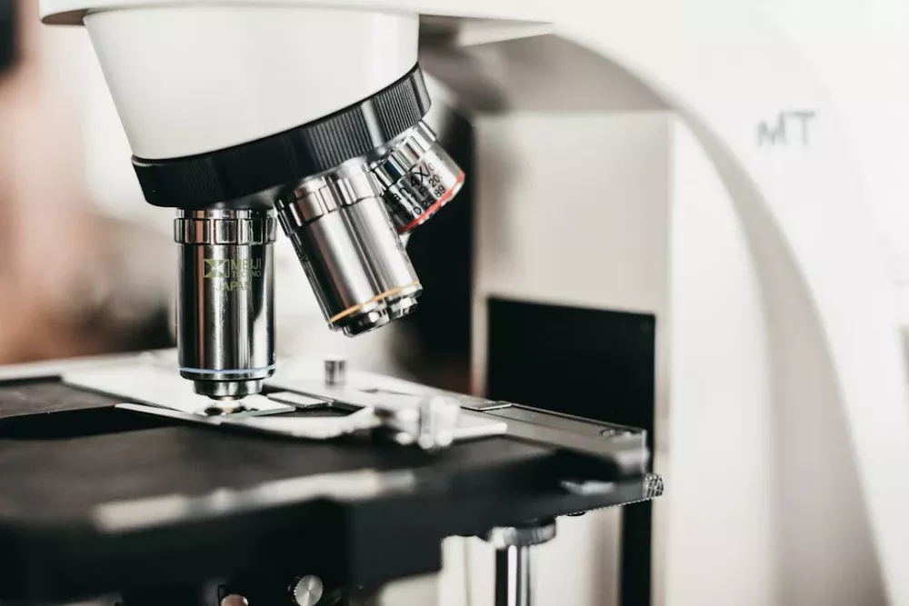 Cientistas fazem relógio molecular de células de 80 anos recuar para menos de 20