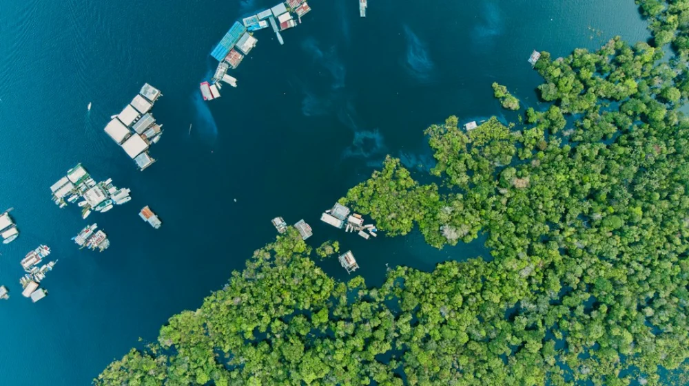 Desmatamento na Amazônia cai 41,8% e atinge menor nível desde 1988