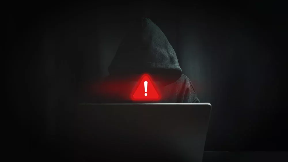 Site falso oferece programa legítimo, mas rouba senhas de VPN